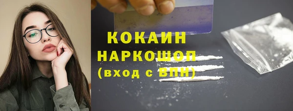 гашик Алексин