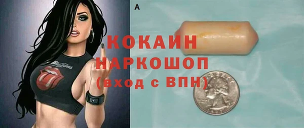 гашик Алексин