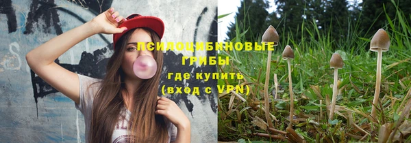 бошки Абаза