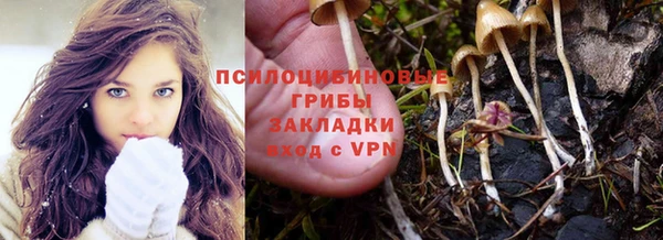 мяу мяу мука Алзамай