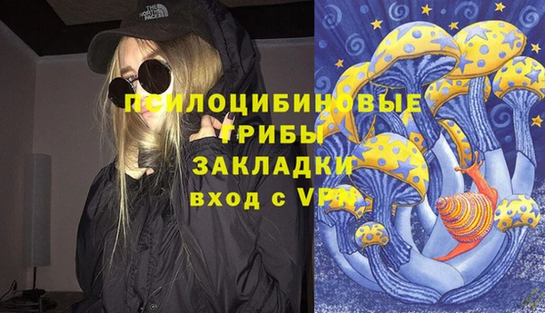 гашик Алексин