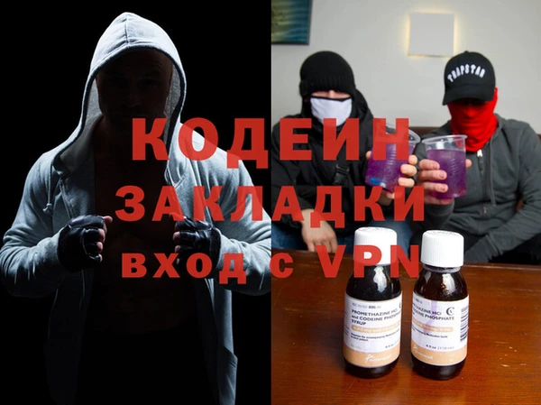 гашик Алексин