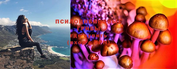 гашик Абинск