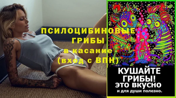 бошки Абаза
