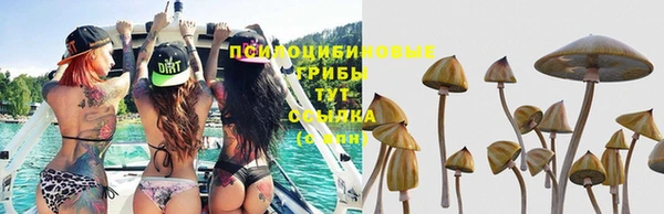 гашик Абинск