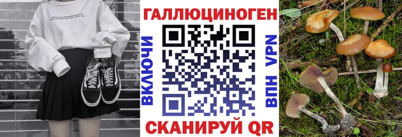 Галлюциногенные грибы Cubensis  Приволжский 